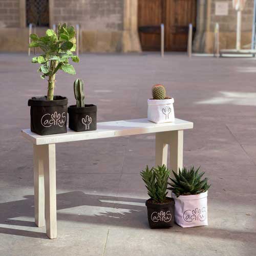Vinilo Cactus
