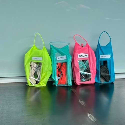 Kit Shoes Bag