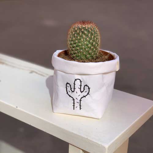 Vinilo Cactus